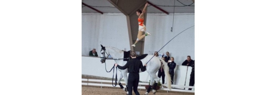 VELKOMMEN TIL FEI VOLTIGE STEVNE / KURS